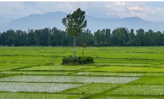 cb3b3c2c753f85761179f57d3ccf10eacc0f93871b94892abac2b56c80b59507.0