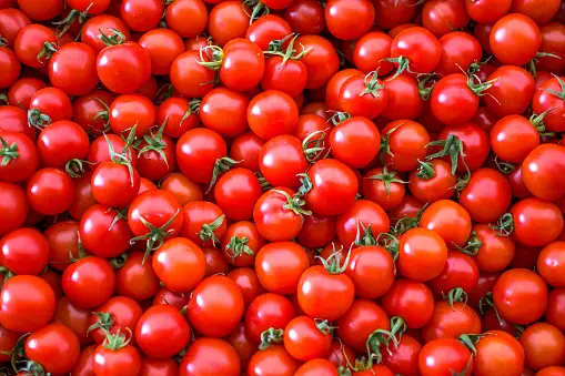 organic-tomatoes-sale-on-market-stall