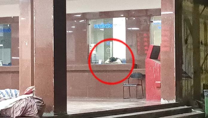 IMG_20241211_010854c